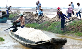 Người trữ muối kiếm lời khi giá muối lên cao