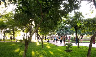 Hà Nội chỉ đạo việc chặt, di chuyển cây xanh ở công viên Thống Nhất