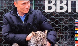 Lịch có in hình Putin.