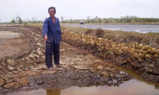 Một cánh đồng khô hạn tại vùng U Minh Thượng. 