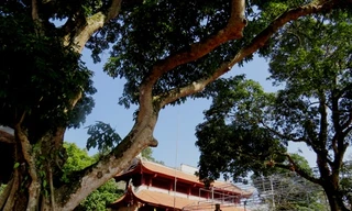 Chùa Thanh Mai ở xã Hoàng Hoa Thám, thị xã Chí Linh, tỉnh Hải Dương. Ảnh: Giang Chinh