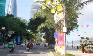 Một số tuyến đường như Bạch Đằng, Trần Phú… sẽ bị cấm dừng đỗ xe, cấm lưu thông trong các ngày tập kết, lắp đặt và trình diễn pháo hoa. Ảnh: Thanh Trần. 