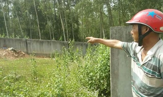 Địa điểm 14 người bị đàn ong tấn công.