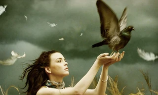 Choáng ngợp với những bức ảnh 'ma thuật'