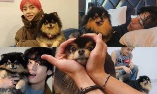 Nhìn lại khoảnh khắc đáng nhớ của cún cưng V BTS - Yeontan: 7 năm như cái chớp mắt
