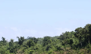 Khu “rừng ma” của bản Pa Roi nằm sát bên dòng sông Se Pon