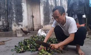 Chờ bồi thường oan sai, 'tử tù' Hàn Đức Long ngập trong nợ nần