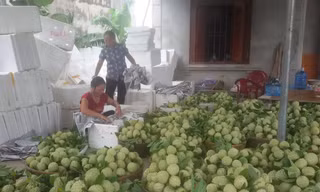 Ngày hội 'Mỗi làng một sản phẩm' ở Lục Nam