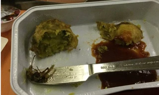 Xác gián trong suất ăn trên chuyến bay của hãng hàng không Air India. 