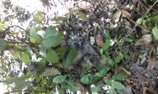 Hiện trường nơi phát hiện thi thể nữ sinh mất tích.