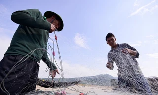 Đã chuyển 3.000 tỷ đồng hỗ trợ ngư dân vụ Formosa