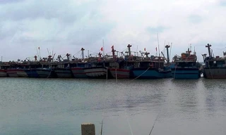 Tàu thuyền đánh bắt trên biển được gọi vào bờ an toàn và bố trí xong nơi trú tránh bão số 7. 
