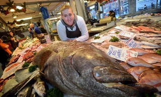 Cá mú hoa nâu gần 200 kg được bán tại Anh.