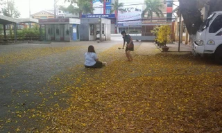 Cổng trường đại học Cần Thơ.