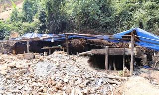 Từ sau Tết Nguyên đán Bính Thân 2016, vàng tặc khai thác rầm rộ tại thôn Tân Đi 3 (xã A Vao, Đăkrông, Quảng Trị). Từ trụ sở UBND xã A Vao, đi xe máy khoảng 30 km là đến thôn Tân Đi 3. Từ đây, lội bộ ngược dòng suối Pa Ka chừng một tiếng là tiếp cận được c