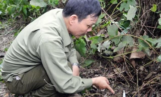 Cơ quan chức năng đang khoanh vùng hiện trường vụ án (ảnh HV).