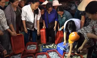 Cán bộ Sở Y tế Hà Tĩnh tiến hành lấy mẫu tại các gò cá trên địa bàn. 