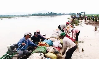 Ngập lụt và lũ quét do mưa lớn