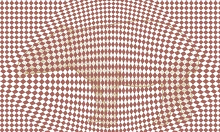 Hãy tinh mắt soi ra bí mật ẩn giấu bên trong 5 bức hình ảo ảnh thị giác này