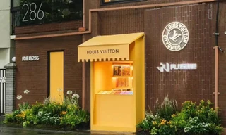 Khám phá thư viện của các thương hiệu xa xỉ Louis Vuitton, Saint Laurent, Gucci