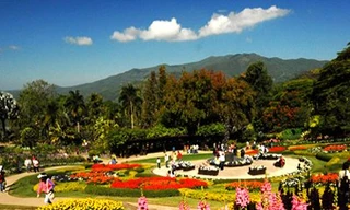 Ngao du thiên hạ thưởng ngoạn hoa