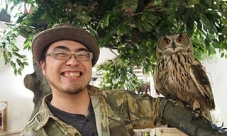 Quán cà phê cú mèo thu hút giới trẻ Nhật Bản