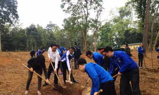 Mỗi Đoàn viên, thanh niên sẽ phấn đấu trồng và chăm sóc ít nhất 1 cây xanh.