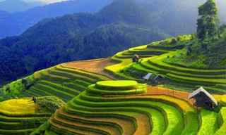 Ruộng bậc thang tại Mù Cang Chải.