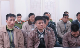 Các bị cáo trong băng nhóm chuyên trộm gỗ sưa.