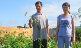 Dân nghi nước nhiễm độc.