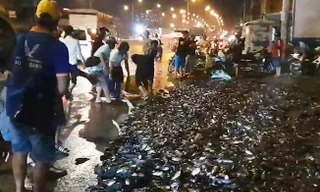 Xe tải lật ngang, gần 3 tấn cá rô bò lổn nhổn trên quốc lộ