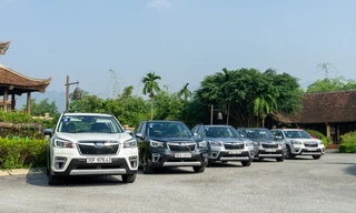 Subaru chốt cách xử lý cho Forester bị nổi 'cá vàng'