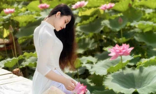 Vẻ đẹp dung dị của nữ sinh Ngân hàng