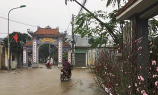 Hình ảnh người Đồng Tâm trưng đào, quất cảnh đón Tết