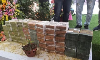 Sơn La yêu cầu người bán hoa lan đột biến phải nộp thuế