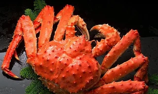 Choáng với độ chơi sang của nhà giàu Việt, chi chỉ vàng ăn con cua lạ