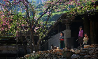 5 địa danh Việt Nam vào top điểm đến thế giới