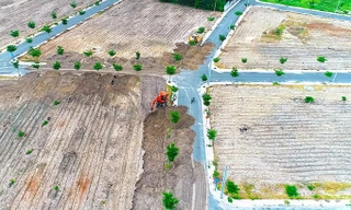 Giám đốc làm hạ tầng cho Địa ốc Alibaba bị bắt