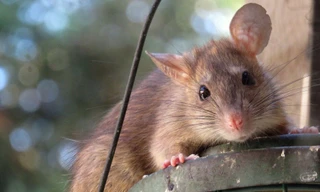 Ảnh minh hoạ: Sputnik