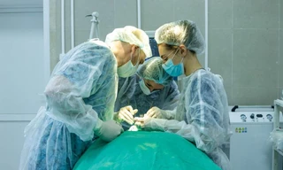 Giun dài 12cm xuất hiện trong má sau khi bị muỗi đốt