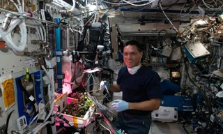 Tìm thấy quả cà chua 'mất tích' suốt 8 tháng trên trạm vũ trụ ISS