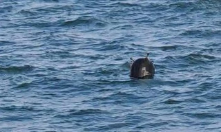 Thổ Nhĩ Kỳ, Romania liên tiếp phát hiện thuỷ lôi trôi dạt trên Biển Đen