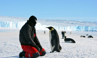 Ảnh minh họa: Live Science