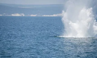 Nga cảnh báo thuỷ lôi Ukraine đứt dây neo, trôi dạt trên Biển Đen