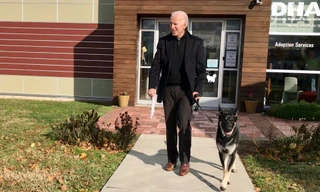 Ông Biden và chú chó cưng Major. Ảnh: AP