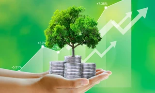 Sẽ có tiêu chí môi trường và xác nhận với dự án được cấp tín dụng xanh