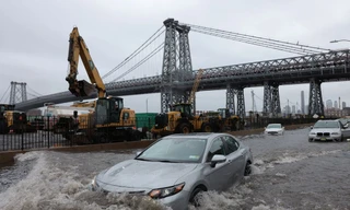 New York: Mưa lớn gây ngập lụt diện rộng, sư tử biển xổng chuồng trong sở thú