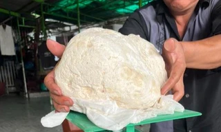 Vớt được vật lạ nghi là long diên hương quý hiếm