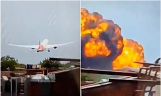 Rơi máy bay ở Ấn Độ: Chuyên gia nghi do đâm phải chim