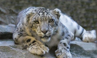 Ảnh minh họa: Pixabay